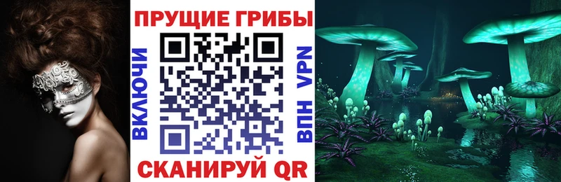 Галлюциногенные грибы Psilocybe  наркошоп  Харабали 